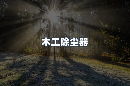 脉冲布袋除尘器